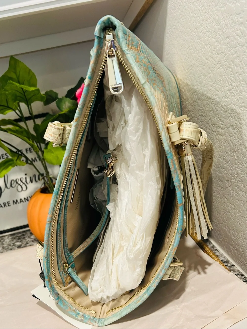 Brahmin Serendipity Schulz Asher Tote with Tassel